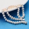 Natural Cultured Freshwater Pearl Beads Strands X-SPPA003Y-1-2