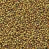 TOHO Round Beads X-SEED-TR11-0513F-2