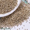 MIYUKI Delica Beads X-SEED-J020-DB0411-1