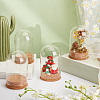 4 Sets Transparent Glass Dome Jar Cloche Display Cases AJEW-PH0011-24B-4