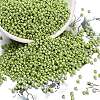 12/0 Glass Seed Beads SEED-A012-2mm-124-1