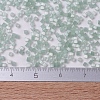 MIYUKI Delica Beads SEED-X0054-DB0829-4