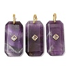 Natural Amethyst Pendants GG-CBA51ED-05G-01-1
