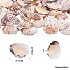 1 Box Scallop Seashells Clam Shell Dyed Beads with Holes for Craft Making 40-50pcs BSHE-YW0001-01-3