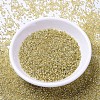 MIYUKI Delica Beads X-SEED-J020-DB1212-2