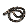 Natural Biotite Beads Strands G-B155-B04-4x10mm-3