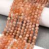 Natural Peach Moonstone Beads Strands G-C127-A02-02-1