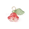 Glass & Acrylic Charms PALLOY-TA00037-2