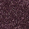 MIYUKI Delica Beads Small SEED-X0054-DBS0108-3