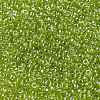 MIYUKI Round Rocailles Beads SEED-X0055-RR0172-3