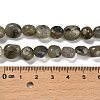 Natural Labradorite Beads Strands G-P497-01E-47-5
