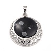 Natural Snowflake Obsidian Pendants with Hollow Platinum Brass Findings G-P448-A11-P-2