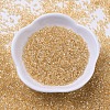MIYUKI Delica Beads SEED-J020-DB0099-2