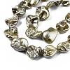 Shell Pearl Beads Strands X-BSHE-Q031-15E-3
