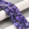 Natural Dolomite Beads Strands G-F765-C05-01-2