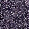 MIYUKI Delica Beads Small X-SEED-J020-DBS1244-3