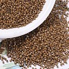 MIYUKI Delica Beads X-SEED-J020-DB0664-1