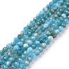 Natural Apatite Beads Strands X-G-E411-36-2mm-01-2