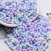 Macaron Color Opaque Frosted Glass Seed Beads SEED-K009-12B-10-1