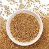 TOHO 11/0 Round Beads SEED-XTR11-0701-3