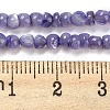 Natural White Shell Dyed Beads Strands BSHE-Z005-03C-4