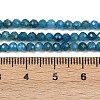 Natural Apatite Beads Strands G-E411-36-3mm-01-5