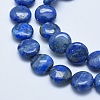 Natural Lapis Lazuli Beads Strands G-E446-01-12mm-3