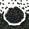 Glass Seed Beads SEED-T009-02B-1