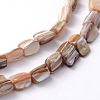 Natural Sea Shell Beads S00C50A2-3