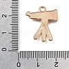 Alloy with Enamel Pendants AL-CBA9E11-03KCG-19-3