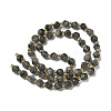 Natural Larvikite Beads Strands G-K387-A02-01-4