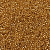 MIYUKI Round Rocailles Beads LS-X-SEED-G007-RR0004-3
