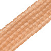 Transparent Frosted Glass Beads Strands GLAA-N072-01A-A05-1