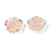 Transparent Resin Cabochons CRES-N030-001B-05-3