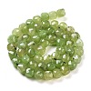 Natural Prehnite Beads Strands G-H028-A05-01-3