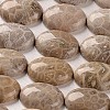 Oval Natural Fossil Coral Cabochons X-G-J329-20-15x20mm-1