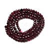 Natural Garnet Beads Strands G-I341-09B-01-2