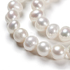 Natural Cultured Freshwater Pearl Beads PEAR-D053-1-3