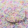 Macaron Color Opaque Frosted Glass Seed Beads X-SEED-K009-12B-01-2