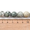 Natural Tree Agate Beads Strands G-T150-A09-12mm-5