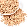 Baking Paint Glass Seed Beads SEED-T006-03E-3