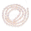 Natural Cultured Freshwater Pearl Beads Strands PEAR-N012-04G-2