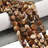 Natural Picture Jasper Beads Strands G-P497-01E-59-2