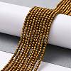 Electroplate Glass Beads Strands LS-GLAA-H021-01A-FP04-3