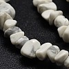 Chip Natural Howlite Beads Strands X-G-N0134-11-2