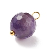 Natural Mixed Stone Charms PALLOY-JF01677-4