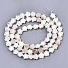 Natural Freshwater Shell Beads Strands SHEL-N027-02-2