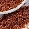 MIYUKI Round Rocailles Beads SEED-X0056-RR0235-1