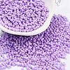 Baking Paint Glass Seed Beads X1-SEED-A033-05J-1