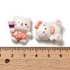 Opaque Resin Decoden Cabochons RESI-D009-04-3